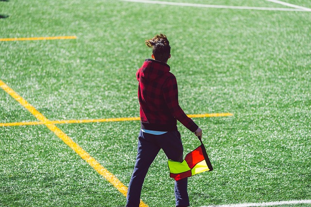 在鹈鹕与开 在鹈鹕与开