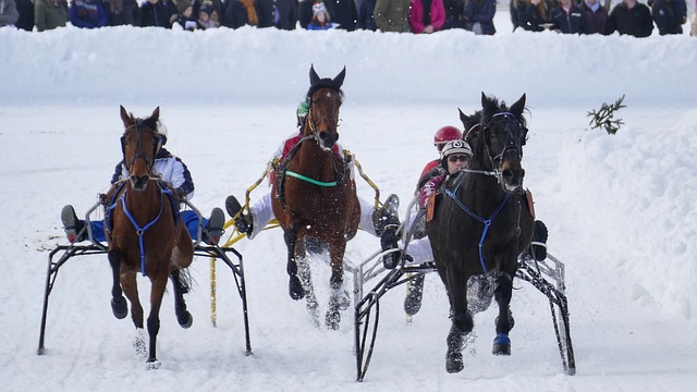 正是这种文 正是这种文