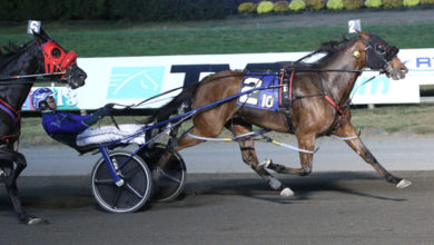 在他带领下 在他带领下