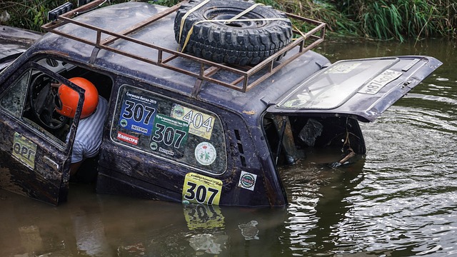 现充满期待 现充满期待