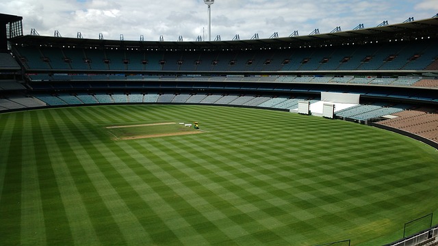 在近期的比 在近期的比