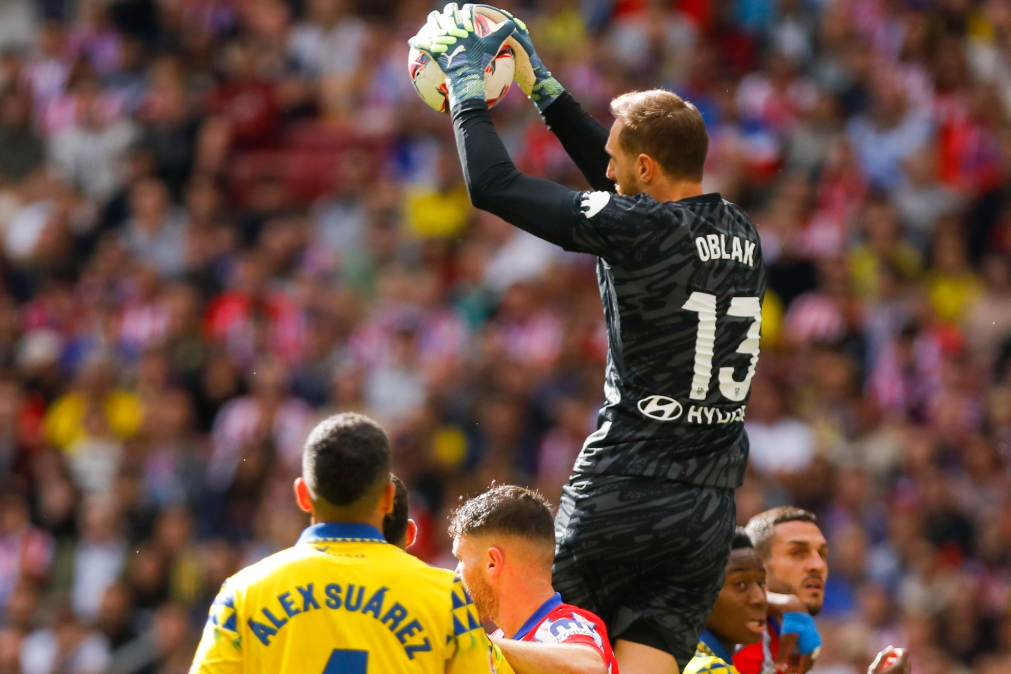 诸如主力球 诸如主力球