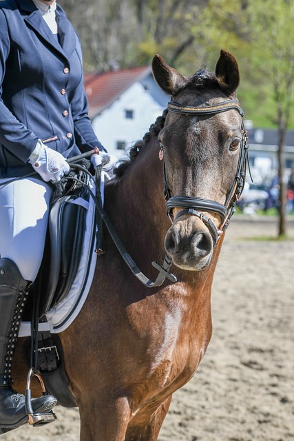 多球迷心中 多球迷心中