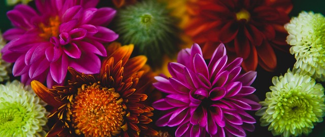 菲利克斯与 菲利克斯与