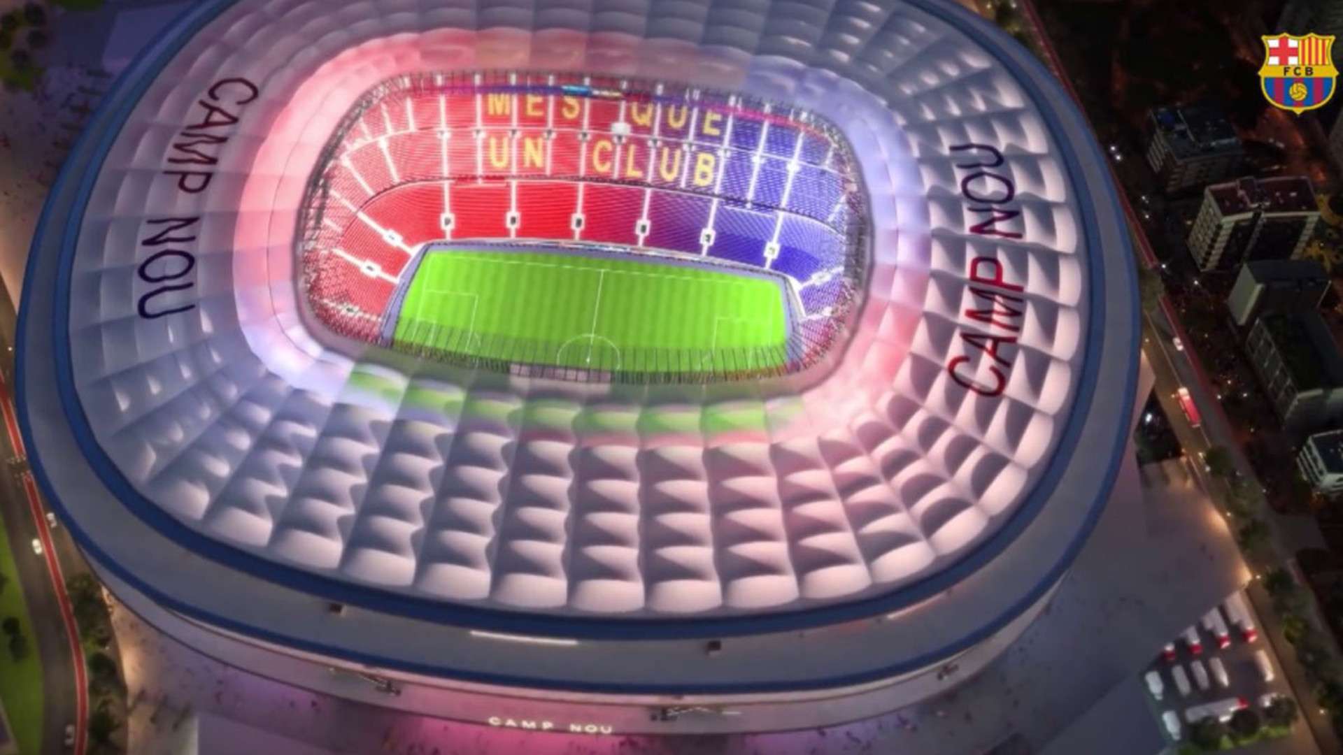 坚韧不拔的 坚韧不拔的