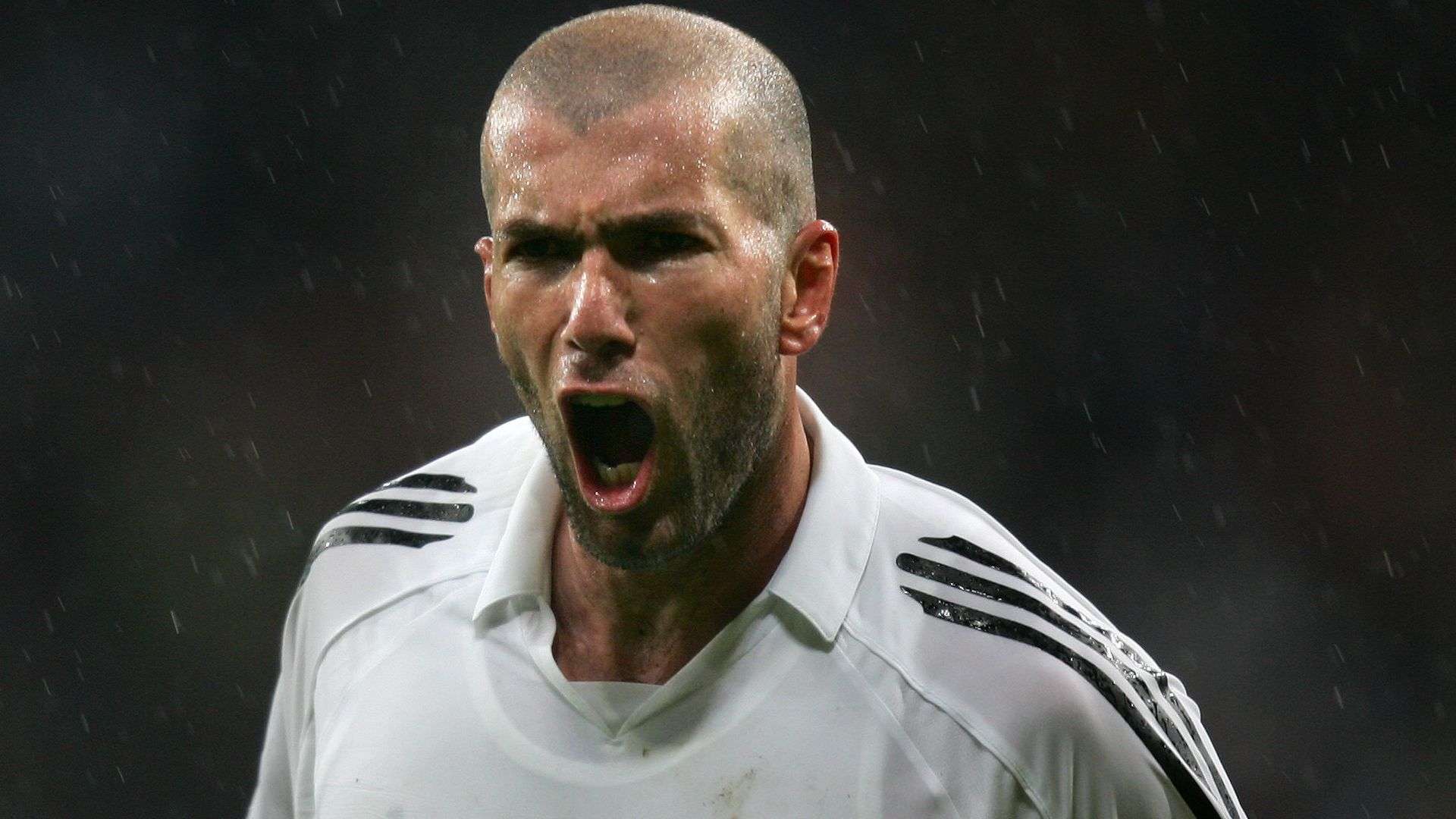 捷克队则在 捷克队则在