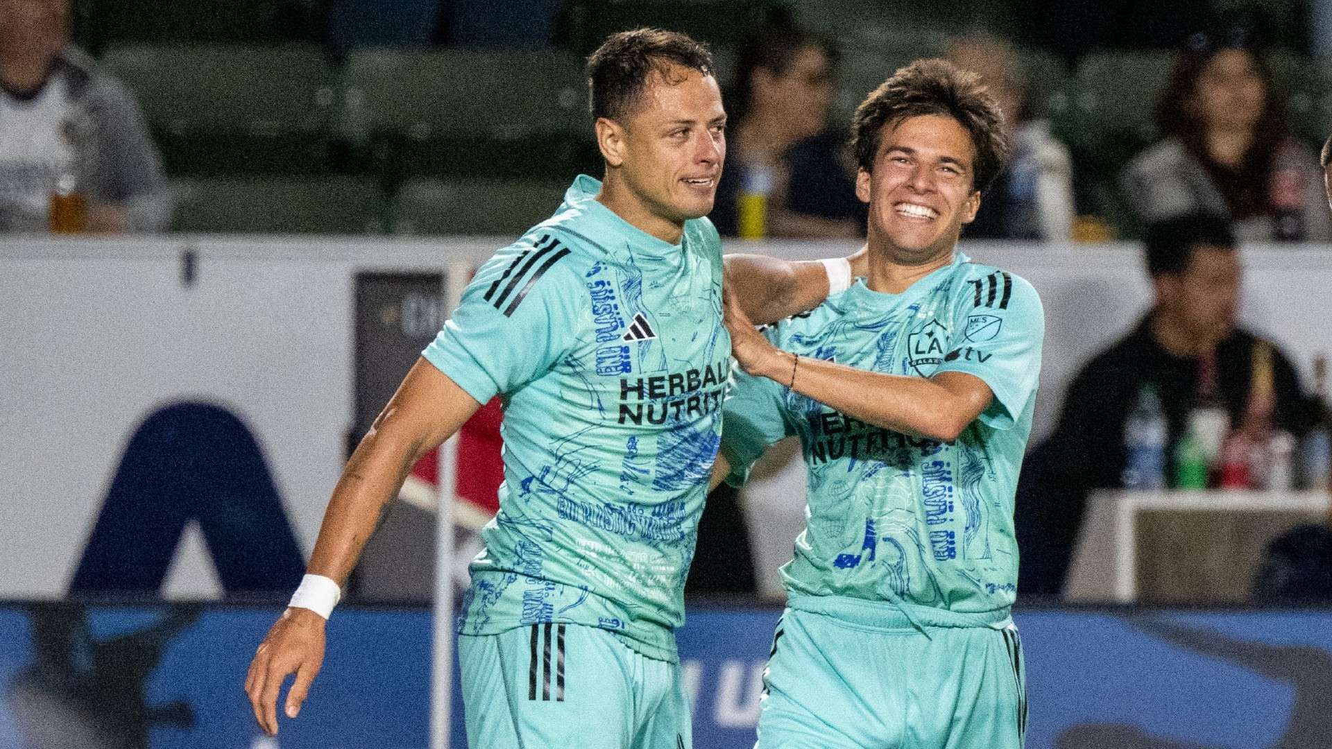 正如任何一 正如任何一