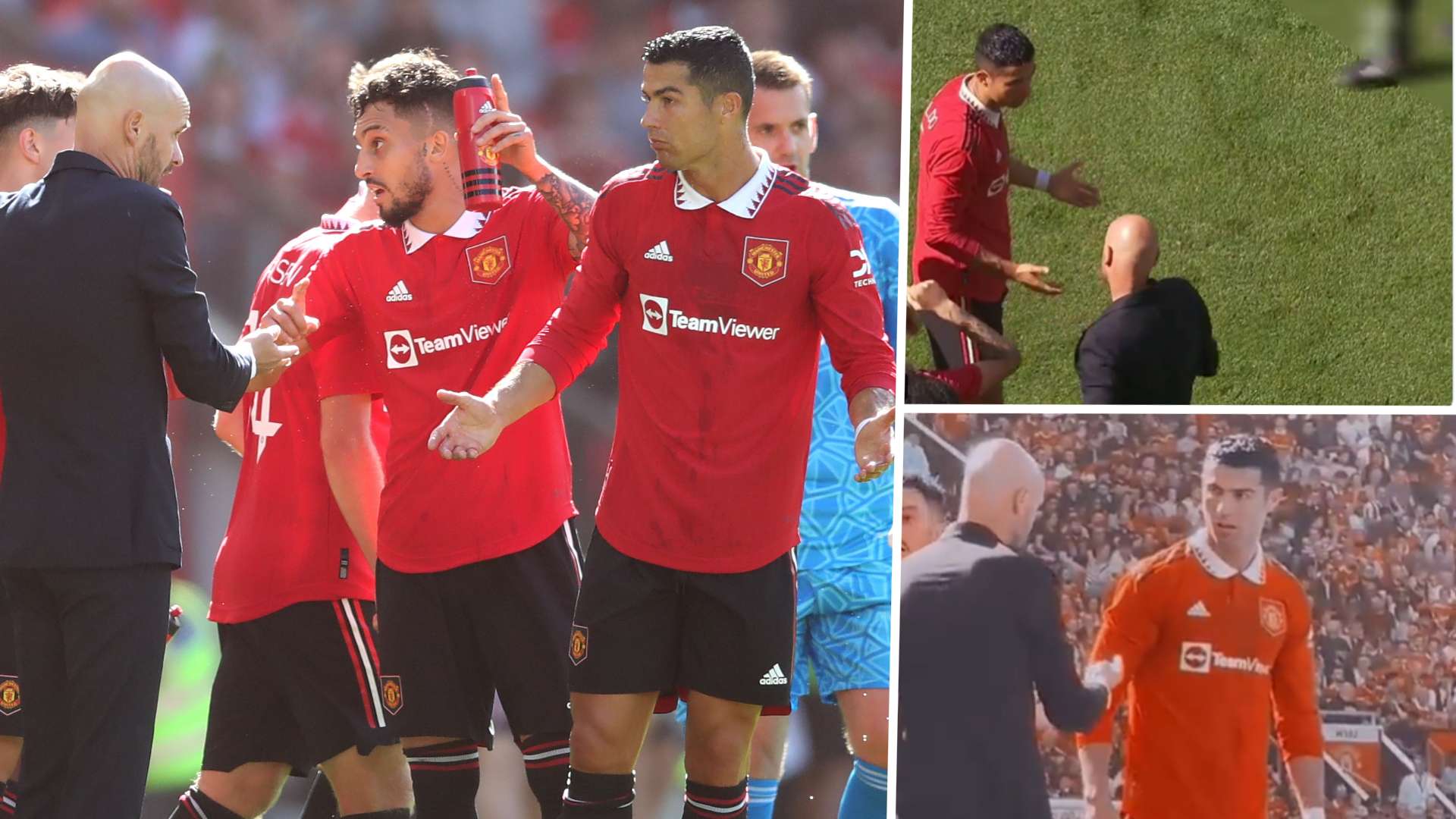 从而常常能 从而常常能