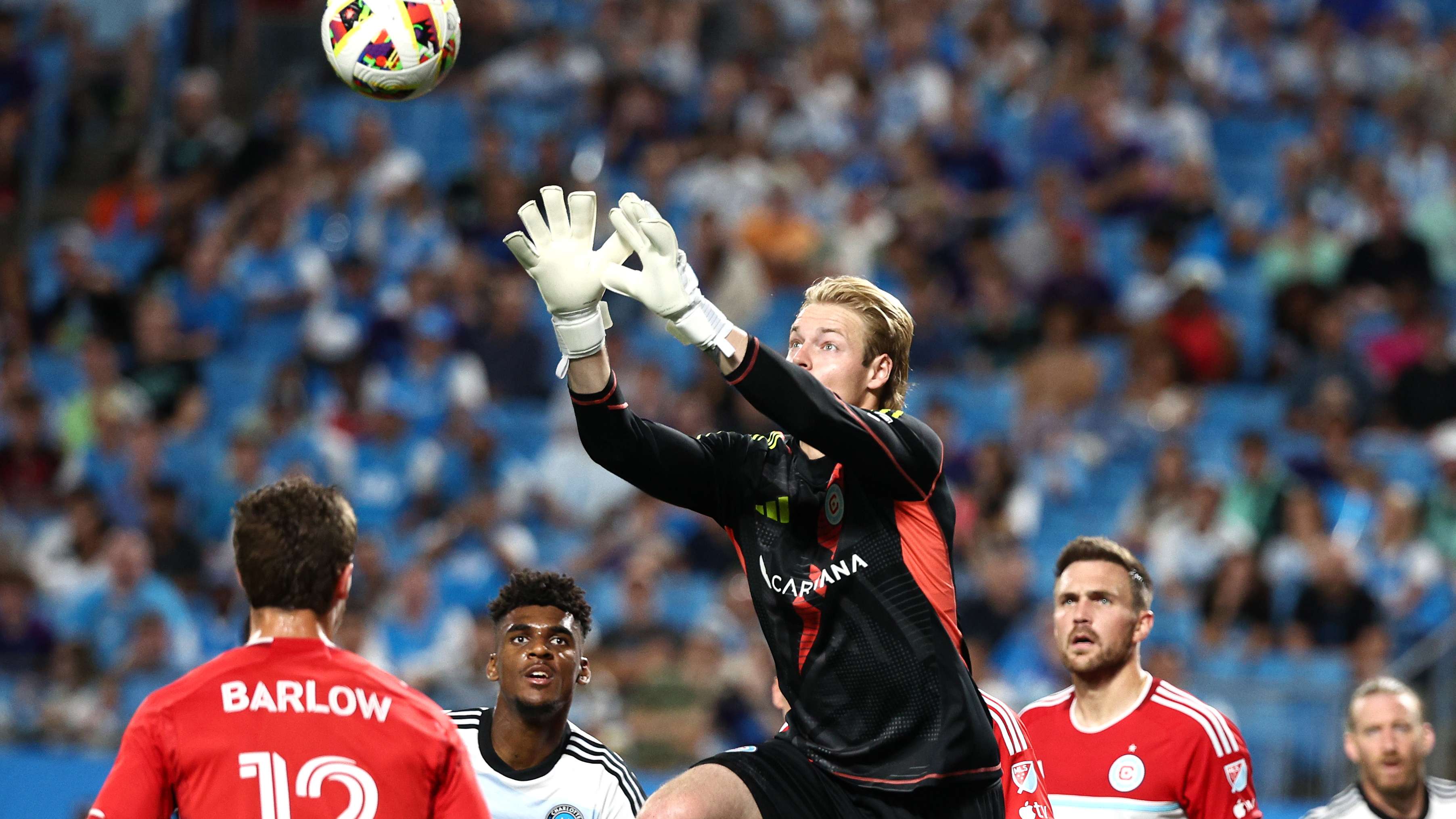 可以说是越 可以说是越